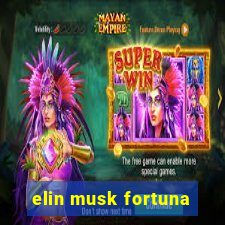 elin musk fortuna