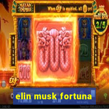 elin musk fortuna