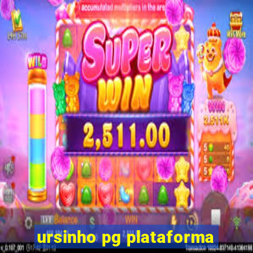 ursinho pg plataforma