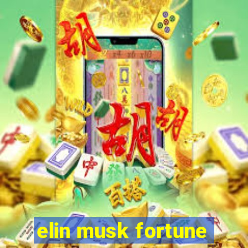 elin musk fortune