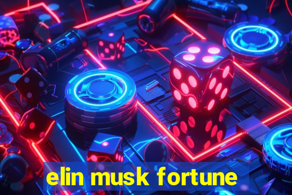 elin musk fortune