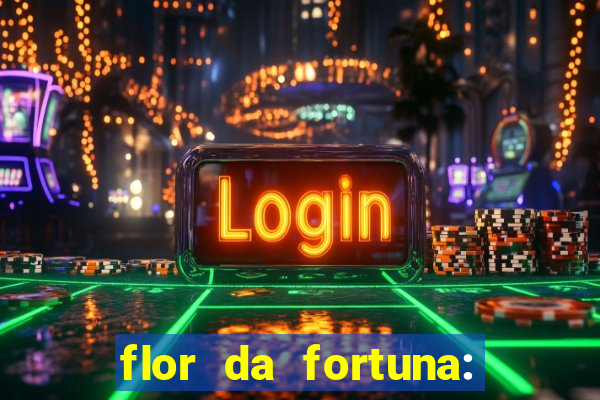 flor da fortuna: como cuidar