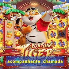 acompanhante chamada de video