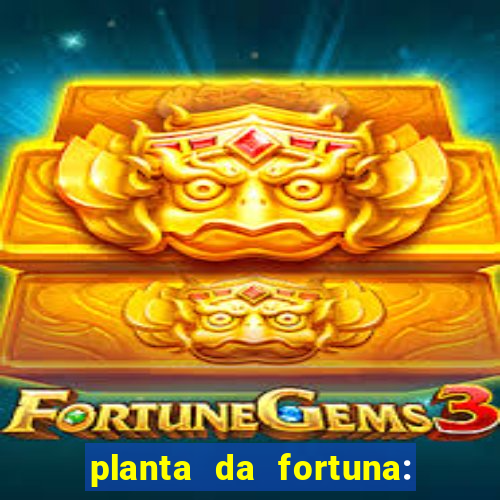 planta da fortuna: como cuidar