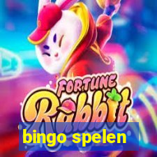 bingo spelen