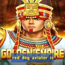 red dog aviator is real or fake