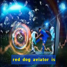 red dog aviator is real or fake