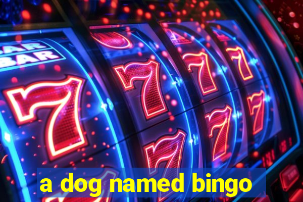 a dog named bingo