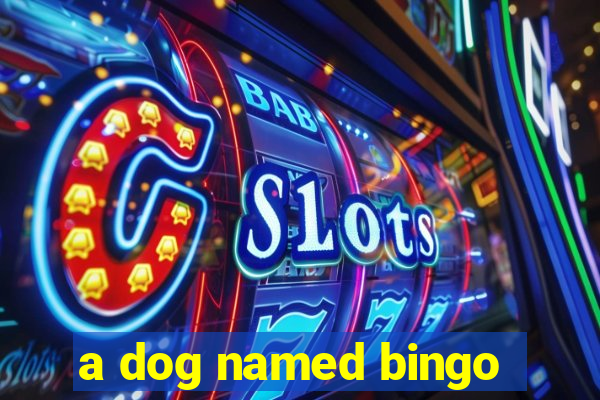 a dog named bingo