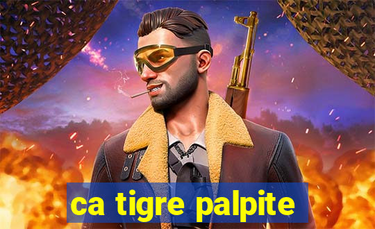 ca tigre palpite