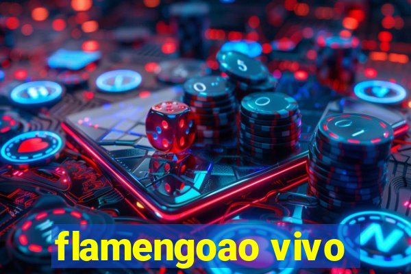 flamengoao vivo