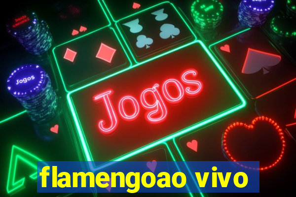 flamengoao vivo