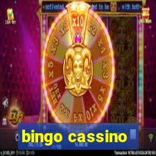 bingo cassino