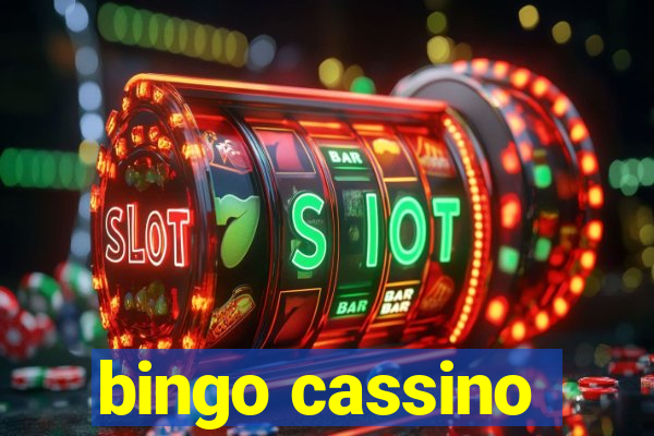 bingo cassino