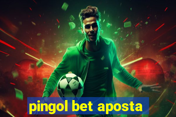 pingol bet aposta