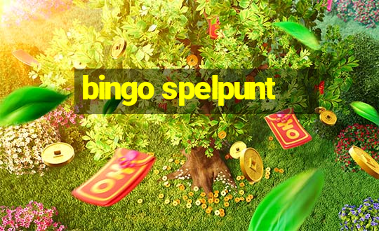 bingo spelpunt