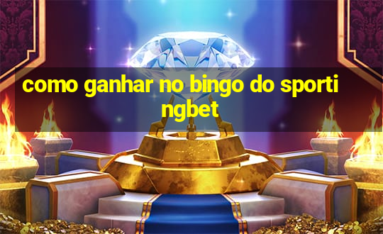 como ganhar no bingo do sportingbet