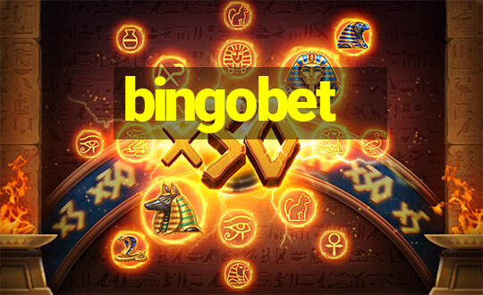 bingobet