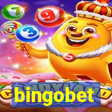 bingobet