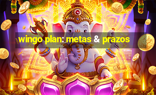 wingo plan: metas & prazos