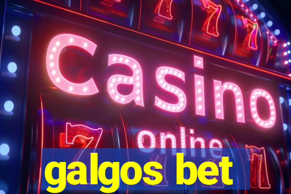 galgos bet