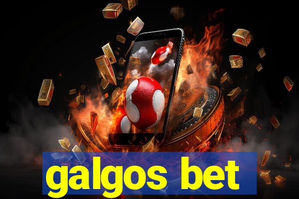 galgos bet