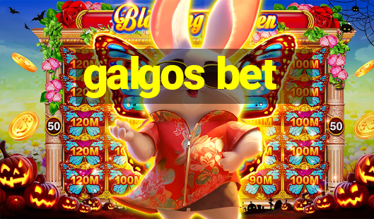 galgos bet