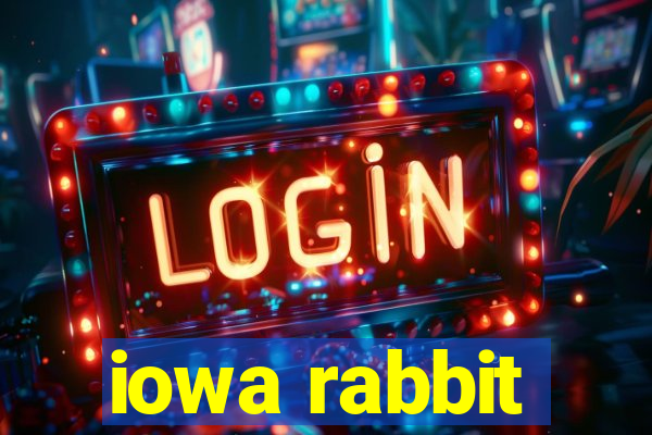 iowa rabbit