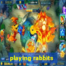 playing rabbits