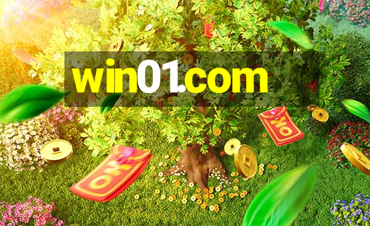 win01.com