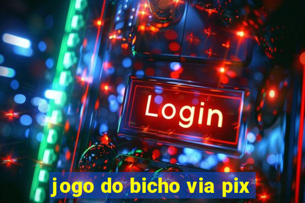 jogo do bicho via pix