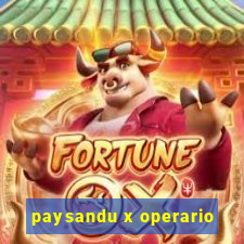 paysandu x operario