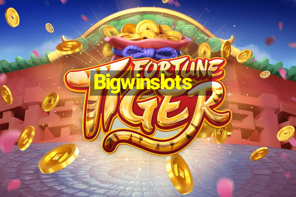 Bigwinslots