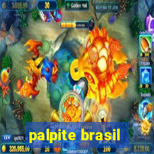 palpite brasil