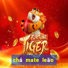 chá mate leão tem cafeína