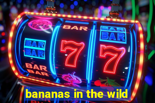 bananas in the wild