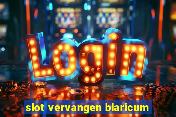 slot vervangen blaricum