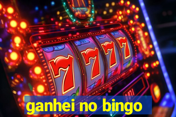 ganhei no bingo