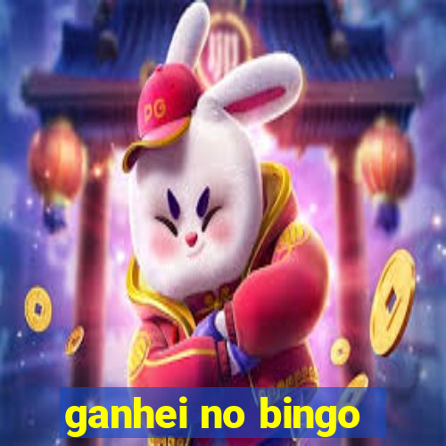 ganhei no bingo