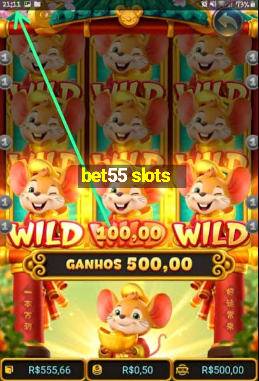 bet55 slots