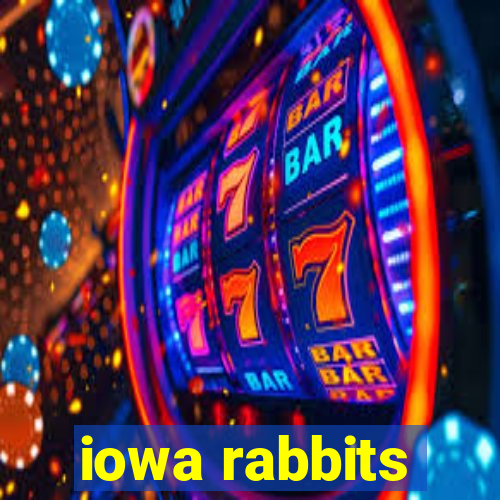 iowa rabbits