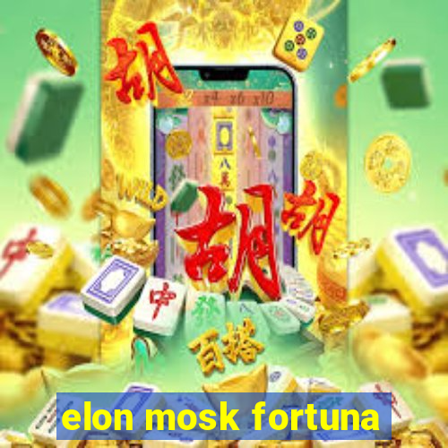 elon mosk fortuna