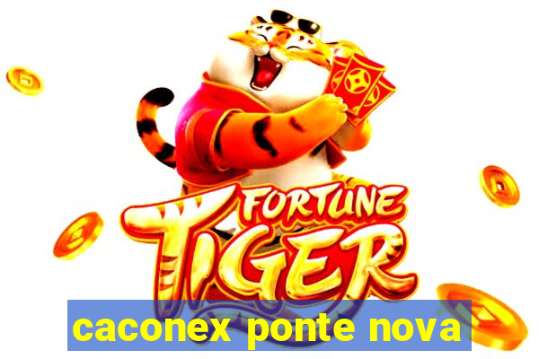 caconex ponte nova