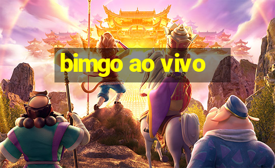 bimgo ao vivo