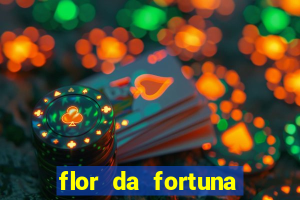 flor da fortuna branca como cuidar