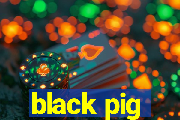 black pig