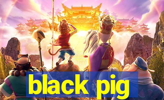 black pig