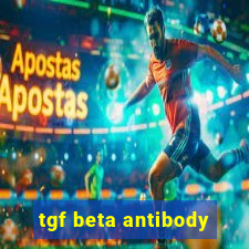 tgf beta antibody