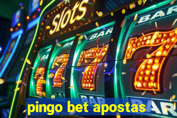 pingo bet apostas