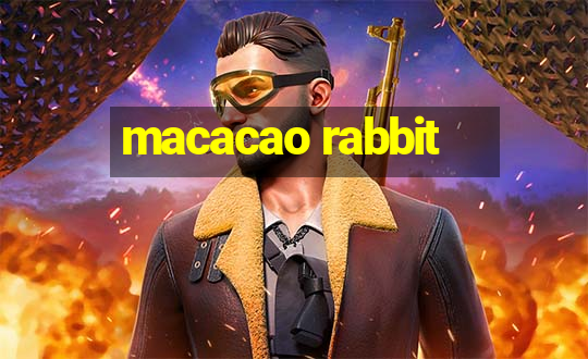 macacao rabbit